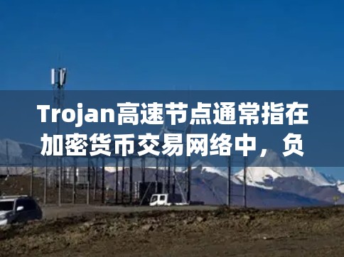 Trojan高速节点通常指在加密货币交易网络中，负责处理高流量和高价值交易的节点。这类节点在加密货币交易中扮演着关键角色，尤其是在加密货币的高交易量和高交易价值的环境中