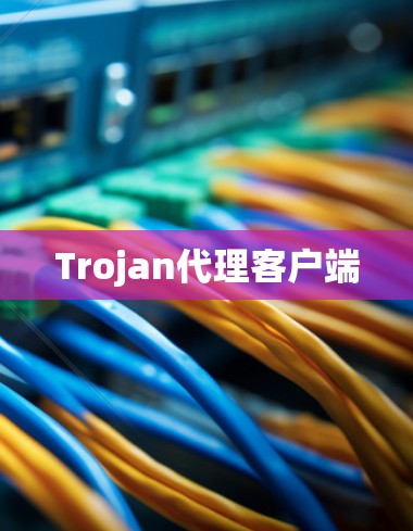 Trojan代理客户端