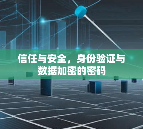 信任与安全，身份验证与数据加密的密码