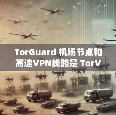 TorGuard 机场节点和高速VPN线路是 TorVPN 系统在特定场景下的应用，以下是相关信息的总结