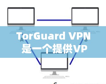 TorGuard VPN 是一个提供VPN服务的公司，提供多种套餐和服务选项，旨在帮助用户获得安全、可靠和舒适的VPN连接。以下是关于 TorGuard VPN 给出的介绍