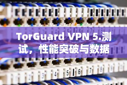 TorGuard VPN 5.测试，性能突破与数据传输优化