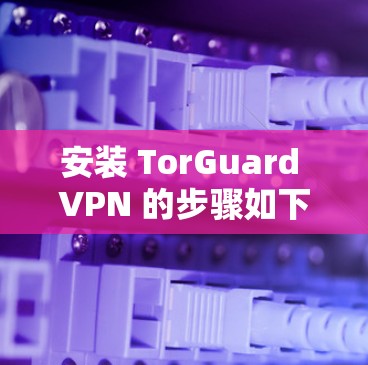安装 TorGuard VPN 的步骤如下