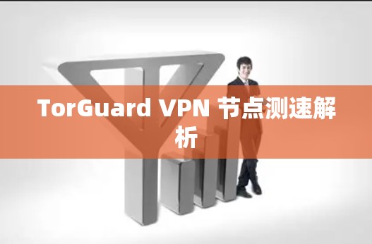 TorGuard VPN 节点测速解析