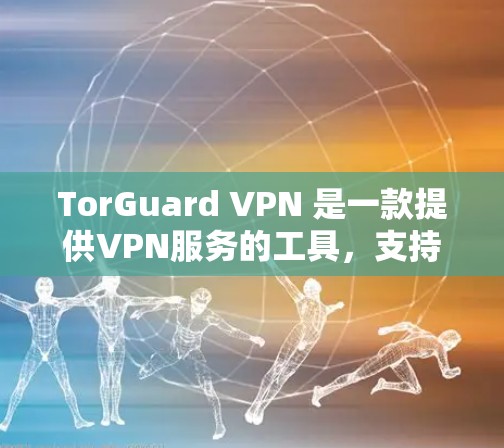 TorGuard VPN 是一款提供VPN服务的工具，支持多设备、IP地址、多语言以及Wi-Fi安全的 VPN 工具。以下是 TorGuard VPN 的电脑客户端软件的详细介绍