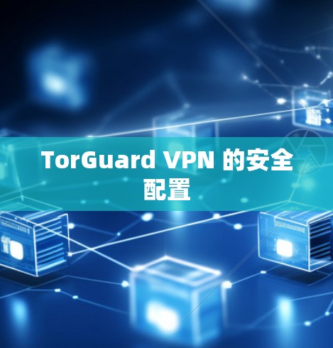 TorGuard VPN 的安全配置