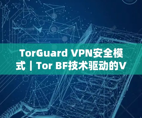 TorGuard VPN安全模式｜Tor BF技术驱动的VPN安全解决方案