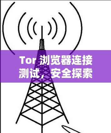 Tor 浏览器连接测试，安全探索与体验优化