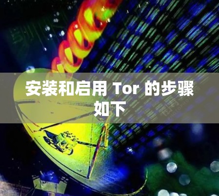 安装和启用 Tor 的步骤如下