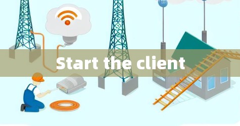 Start the client