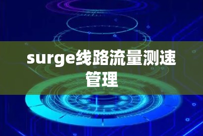 surge线路流量测速管理