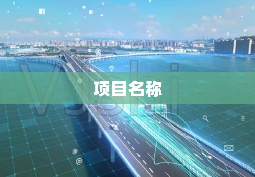 项目名称