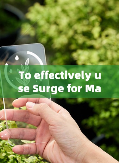 To effectively use Surge for Mac,follow this organized approach: