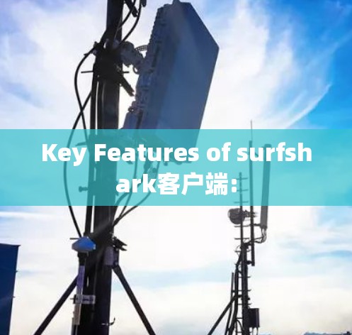 Key Features of surfshark客户端: