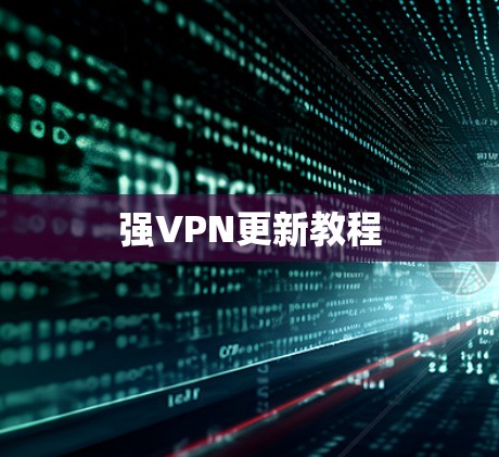 强VPN更新教程
