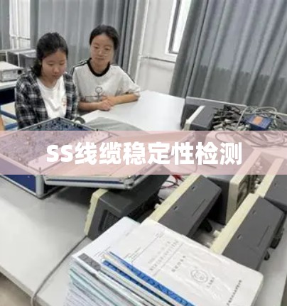 SS线缆稳定性检测
