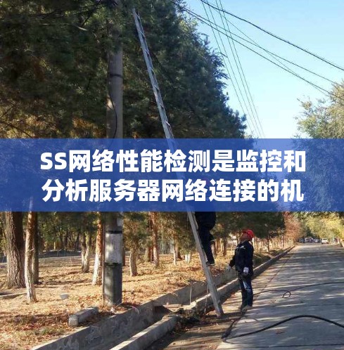 SS网络性能检测是监控和分析服务器网络连接的机制,确保服务器在运行时能够正常工作。以下是一个结构化的学习指南 SS网络性能检测是监控和分析服务器网络连接的机制,确保服务器在运行时能够正常工作。以下是一个结构化的学习指南