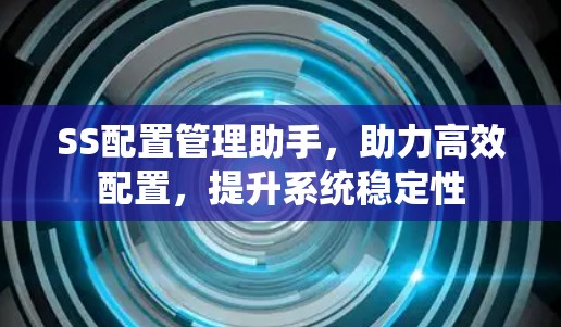 SS配置管理助手,助力高效配置,提升系统稳定性 SS配置管理助手,助力高效配置,提升系统稳定性
