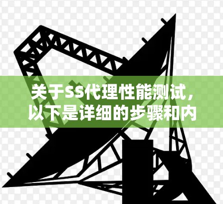 关于SS代理性能测试，以下是详细的步骤和内容