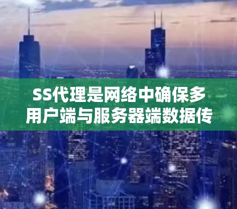 SS代理是网络中确保多用户端与服务器端数据传输的中间站,其性能分析是提升网络性能的关键。以下是SS代理性能分析的关键点和优化建议 SS代理是网络中确保多用户端与服务器端数据传输的中间站,其性能分析是提升网络性能的关键。以下是SS代理性能分析的关键点和优化建议