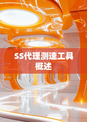 SS代理测速工具概述 SS代理测速工具概述