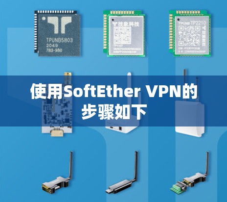 使用SoftEther VPN的步骤如下