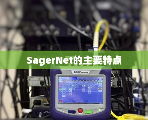 SagerNet的主要特点