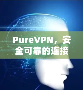 PureVPN，安全可靠的连接，让隐私成为你的选择