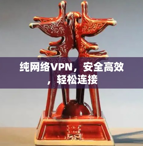 纯网络VPN,安全高效,轻松连接 纯网络VPN,安全高效,轻松连接