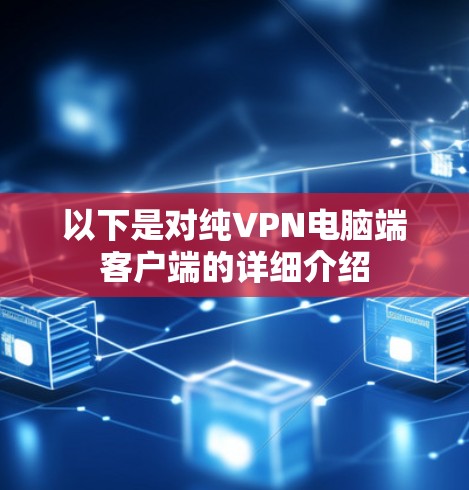 以下是对纯VPN电脑端客户端的详细介绍