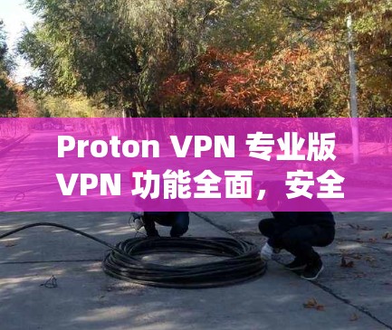 Proton VPN 专业版 VPN 功能全面,安全可靠 Proton VPN 专业版 VPN 功能全面,安全可靠